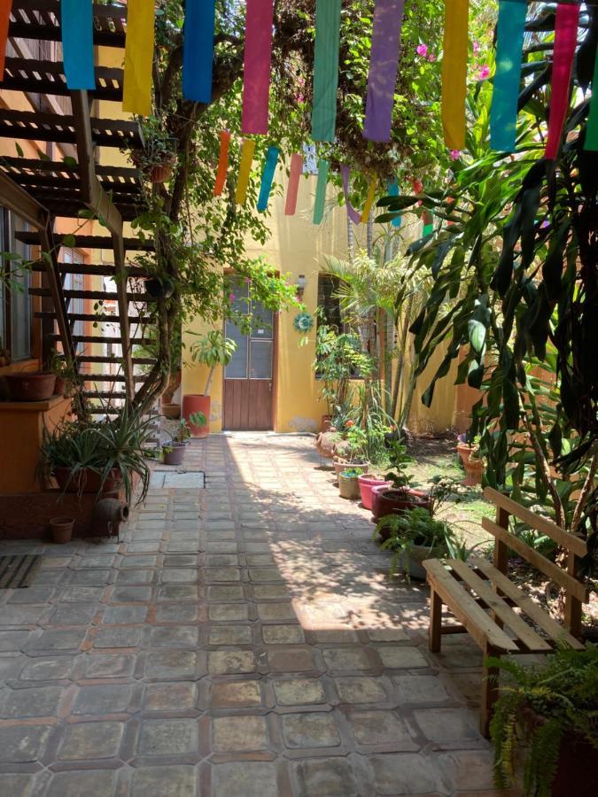 Calida Habitacion A 10 Min De Santo Domingo Oaxaca Zewnętrze zdjęcie