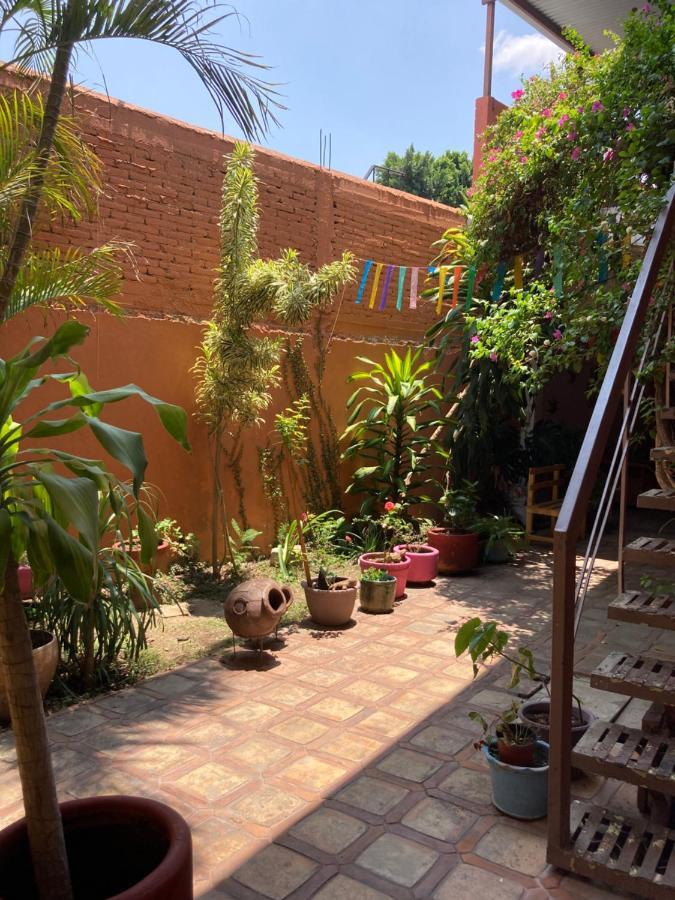 Calida Habitacion A 10 Min De Santo Domingo Oaxaca Zewnętrze zdjęcie
