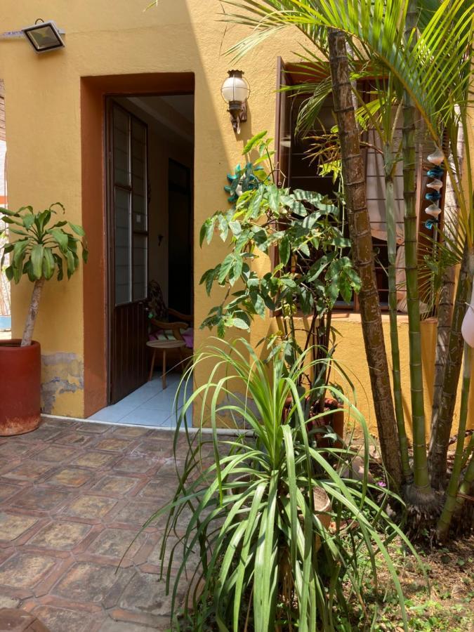 Calida Habitacion A 10 Min De Santo Domingo Oaxaca Zewnętrze zdjęcie